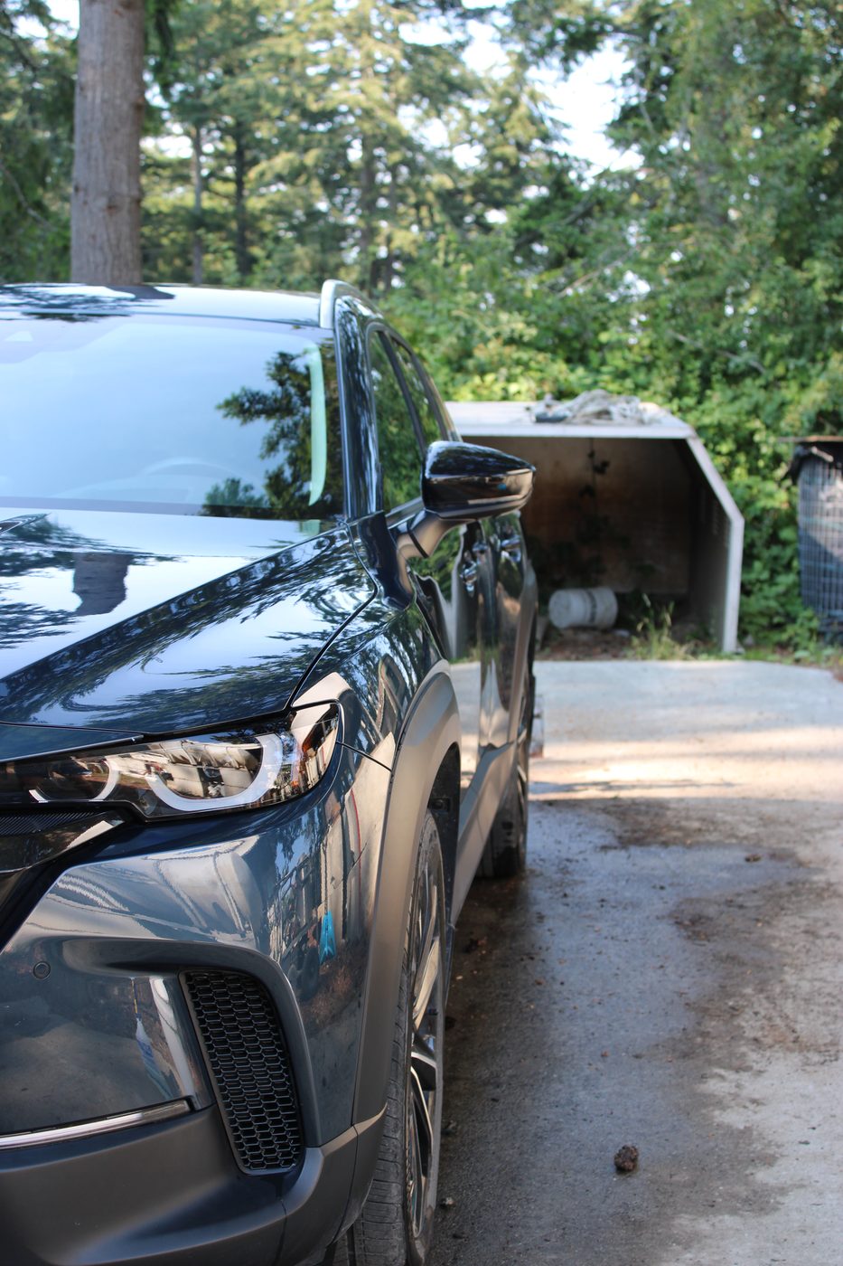 Freshly detailed car exterior with a glossy finish, Olga Detailing Services