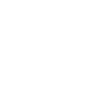 Olga Detailing Services logo